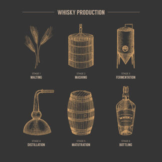 The six stages of whisky production